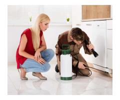 Effective Pest Control Products Recommended for Canadians