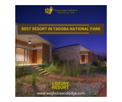 Best Resort In Tadoba National Park