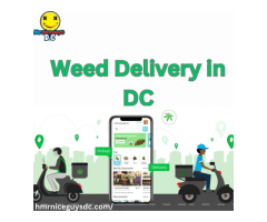 Mr Nice Guys DC, Your Premier Destination for Recreational Weed Store and Delivery