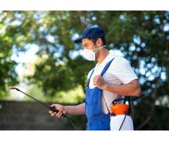 best pest control Brisbane service