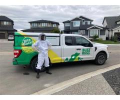 Discover the Top Pest Control Services Near Me