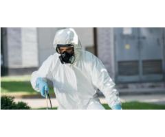 Buzz Boss: Leading Pest Control Companies in Edmonton