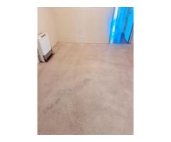 Carpet cleaning Adelaide