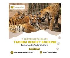 A Comprehensive Guide to Tadoba Resort Booking