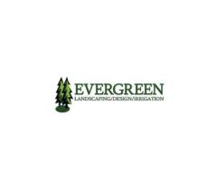 Evergreen/irrigation