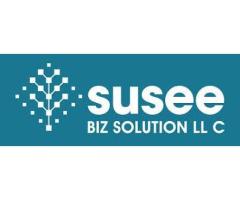 Susee BIZ Solution - Digital Transformation Services in Connecticut