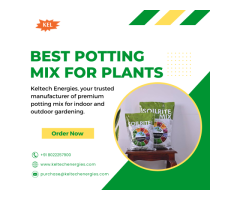 Get Soil for Plants Online – Perfect for Indoor and Outdoor Gardens