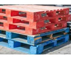 Food Grade Pallets Supplier