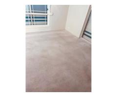 Carpet cleaning services near me