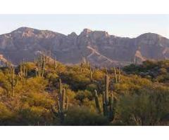 I Love OV, LLC | Town Of Oro Valley